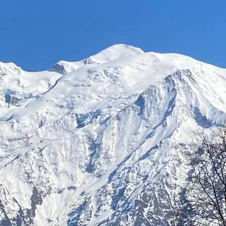 Les Edelweiss Mont-blanc - Classe 3 Etoiles