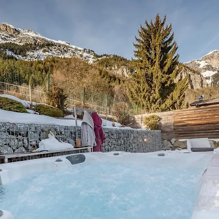 Les Edelweiss Mont-blanc - Classe 3 Etoiles Chalet